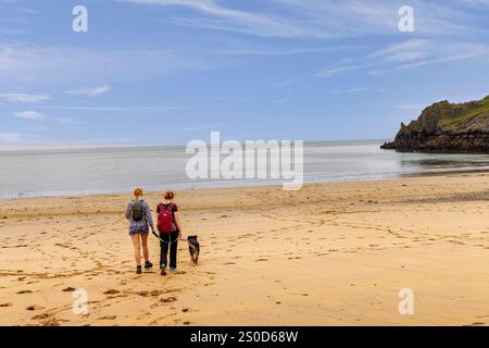 Chien de promenade sur la plage de Barafundle Bay, Pembrokeshire, pays de Galles, Royaume-Uni Banque D'Images