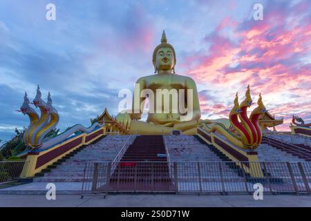 Wat Muang est un ancien temple de la province d'Ang Thong. La grande statue de Bouddha a été construite en 2008. Il est le plus grand en Thaïlande et est un point de repère pour ici Banque D'Images