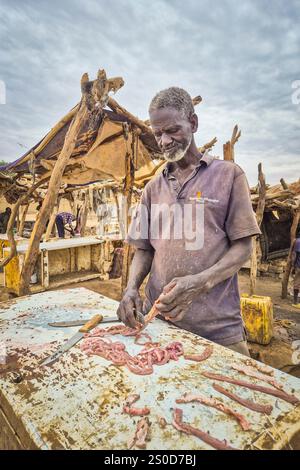 Mauritanie, Atar, marché aux chèvres, abattage des chèvres Banque D'Images