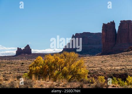 D'immenses tours de grès rouge dominent des arbres jaunes d'automne dans le paysage désertique du parc national des Arches sous un ciel bleu, Moab, Utah Banque D'Images
