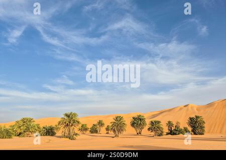 Mauritanie, Azweiga, paysage Banque D'Images