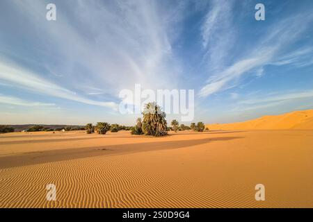 Mauritanie, Azweiga, paysage Banque D'Images