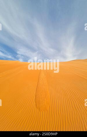 Mauritanie, Azweiga, paysage Banque D'Images