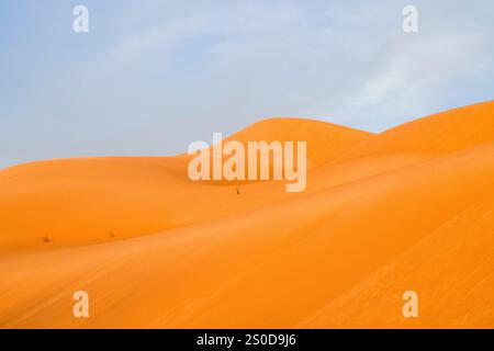 Mauritanie, Azweiga, paysage Banque D'Images