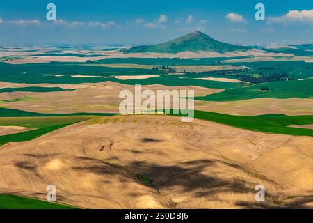 Vue depuis le parc du comté de Kamiak Butte vers Steptoe Butte dans la région de Palouse, État de Washington, États-Unis Banque D'Images