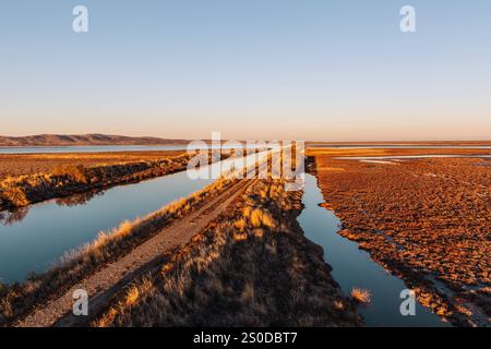 Vue depuis l'observatoire ornithologique du parc national du delta d'Evros, près d'Alexandroupolis et de la frontière turque, forêt de Dadia et zone humide protégée, coucher de soleil ou soleil Banque D'Images