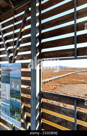 Observatoire des oiseaux au Parc National du Delta d'Evros, près d'Alexandroupolis et de la frontière turque, forêt de Dadia et zone humide protégée. Banque D'Images