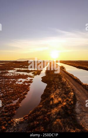 Vue depuis l'observatoire ornithologique du parc national du delta d'Evros, près d'Alexandroupolis et de la frontière turque, forêt de Dadia et zone humide protégée, coucher de soleil ou soleil Banque D'Images