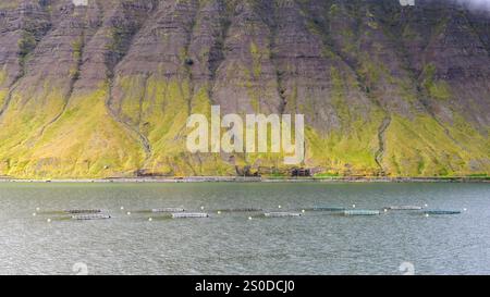 Isafjordur, Islande - 25 août 2024 : piscines et filets d'une ferme piscicole dans le fjord près de la ville reculée d'Isafjordur dans le nord de l'Islande Banque D'Images