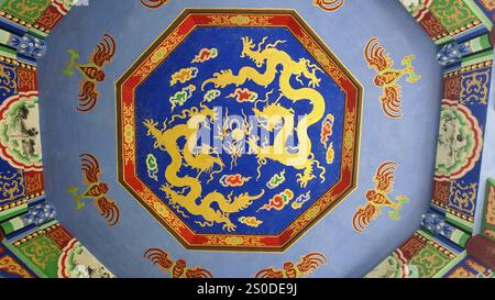 Un superbe plafond de pavillon décoré de dragons dorés sur un fond bleu vif, entouré de motifs ornementaux multicolores. Banque D'Images