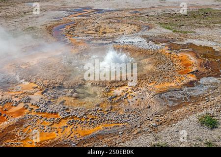 Anemone Geyser dans une douce éruption dans le parc national de Yellowstone dans le Wyoming Banque D'Images