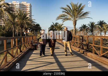 Trois personnes marchent et parlent le long d'une promenade en bois pittoresque entourée de palmiers. Banque D'Images