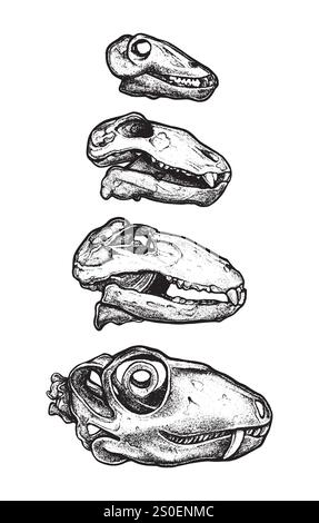 Crâne de dinosaure dans le style de travail par points, crâne de dinosaure de tatouage, icône fossile d'archéologie préhistorique vectorielle. Autocollant de gravure reptile jurassique, triceratops Illustration de Vecteur