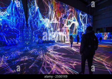 FRANCE. PARIS (75) (12ÈME ARRONDISSEMENT) L'EXPOSITION IMMERSIVE 'PIXELS', (ART NUMÉRIQUE), DE L'ARTISTE MIGUEL CHEVALIER, AU GRAND PALAIS IMMERSIF, LY Banque D'Images