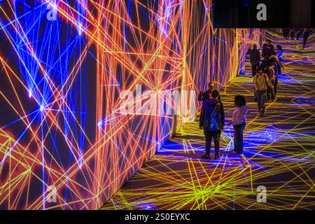 FRANCE. PARIS (75) (12ÈME ARRONDISSEMENT) L'EXPOSITION IMMERSIVE 'PIXELS', (ART NUMÉRIQUE), DE L'ARTISTE MIGUEL CHEVALIER, AU GRAND PALAIS IMMERSIF, LY Banque D'Images