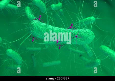 Les virus bactériophages attaquent les bactéries - vue isométrique illustration 3D. Banque D'Images