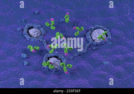 Traitement par anticorps monoclonaux dans le côlon, cancer colorectal (CRC) - vue isométrique illustration 3D. Banque D'Images