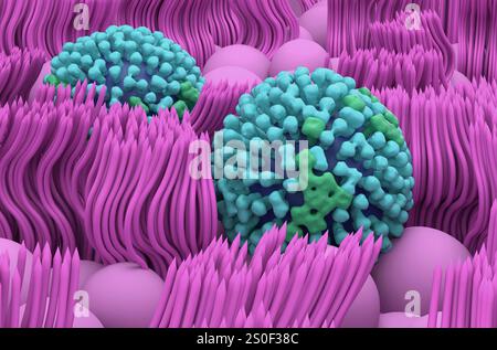 Virus de la grippe (grippe) sur les lignes de muqueuse nasale - vue en gros plan 3d illustration Banque D'Images