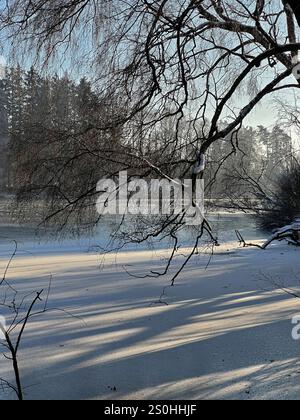 28.12.2024, hiver dans le Bayern. Bad Wörishofen im Unterallgäu. Abendstimmung am Waldsee im Süden der Stadt, die Wasserfläche ist zugefroren, die Kälte ist spürbar in der untergehenden Abendsonne. 28.12.2024, Bad Wörishofen 28.12.2024, Bad Wörishofen *** 28 12 2024, hiver en Bavière Bad Wörishofen à Unterallgäu ambiance nocturne au lac forestier au sud de la ville, la surface de l'eau est gelée, le froid est perceptible dans le coucher du soleil du soir 28 12 2024, Bad Wörishofen 28 12 2024, Bad Wörishofen Banque D'Images