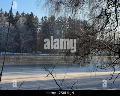 28.12.2024, hiver dans le Bayern. Bad Wörishofen im Unterallgäu. Abendstimmung am Waldsee im Süden der Stadt, die Wasserfläche ist zugefroren, die Kälte ist spürbar in der untergehenden Abendsonne. 28.12.2024, Bad Wörishofen 28.12.2024, Bad Wörishofen *** 28 12 2024, hiver en Bavière Bad Wörishofen à Unterallgäu ambiance nocturne au lac forestier au sud de la ville, la surface de l'eau est gelée, le froid est perceptible dans le coucher du soleil du soir 28 12 2024, Bad Wörishofen 28 12 2024, Bad Wörishofen Banque D'Images