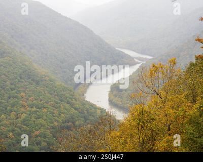 Un arbre de couleur jaune intense dans sa gloire d'automne se trouve en bonne place à Grandview Rim, New River gorge National Park, Virginie occidentale, avec monture brumeuse Banque D'Images