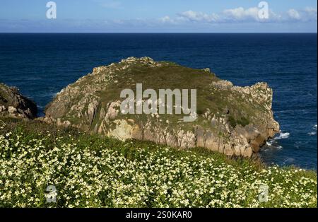 Partie côtière de Cantabrie dans le nord de l'Espagne, érodé la Costa Quebrada, c'est-à-dire la côte brisée Banque D'Images