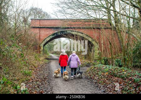 Les gens marchant des chiens sur le sentier de Wirral Way, le Wirral Way est un chemin sur la voie d'un vieux chemin de fer qui va de West Kirby à Hooton Merseyside Banque D'Images