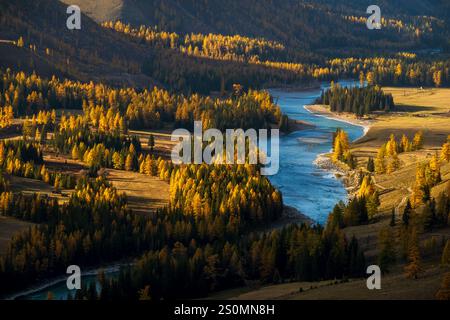 Rivière sinueuse à travers un paysage d'automne vibrant avec des arbres dorés et une douce lumière du soir. Paysage serein et tranquille montrant la beauté de la nature pendant la saison d'automne. Banque D'Images