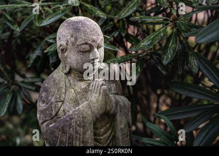 Statue de bouddha en pierre debout entourée de plantes vertes Banque D'Images
