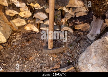 Préparation de bois de chauffage rustique avec hache et grumes empilées Banque D'Images