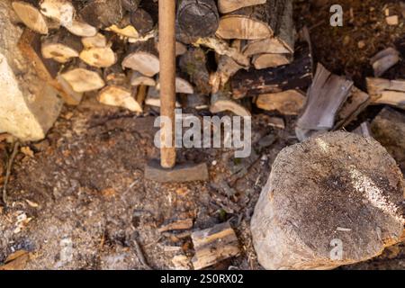 Vue rapprochée d'une zone traditionnelle de coupe de bois avec un bloc de coupe, une hache altérée et un tas soigneusement empilé de bois de chauffage. Banque D'Images