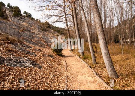 La Fuentona, est une zone naturelle protégée située à Muriel de la Fuente, Soria. Castille-Léon. Espagne. Europe Banque D'Images