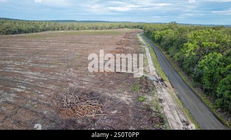 vue aérienne par drone, défrichement des terres, déforestation, tas de bûches coupées d'arbres sur des terres agricoles défrichées, agriculture à impact environnemental Banque D'Images