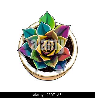 Croquis coloré de plante d'intérieur en pot vue de dessus Illustration de Vecteur