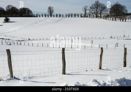 Surface couverte de neige en hiver, Orreaga-Roncesvalles Navarre. L'Espagne. L'Europe Banque D'Images