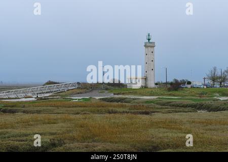 Phare unique se dresse au milieu d'un paysage côtier tranquille avec un ciel couvert et des marais environnants à l'aube Banque D'Images