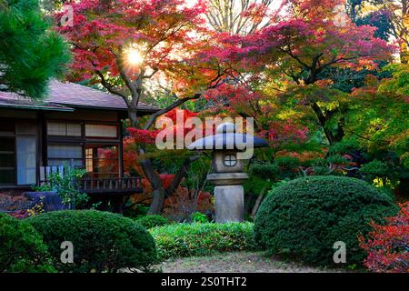 Koishikawa Korakuen Tokyo, Japon. Banque D'Images