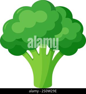 légumes à brocoli pour la cuisson des repas. Un élément lumineux. Style plat tendance dessiné à la main isolé pour le design. Illustration vectorielle Illustration de Vecteur