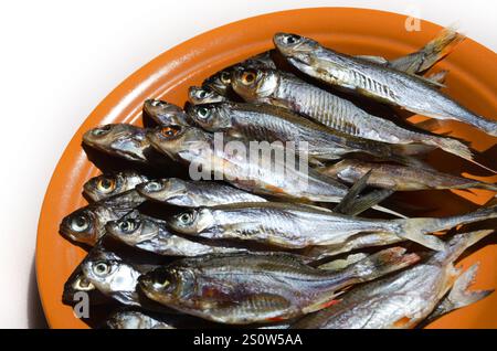 Sombre ou Shemaya. Poisson séché sur une assiette en céramique. Très savoureux, eau de tête grasse pour la bière. Banque D'Images