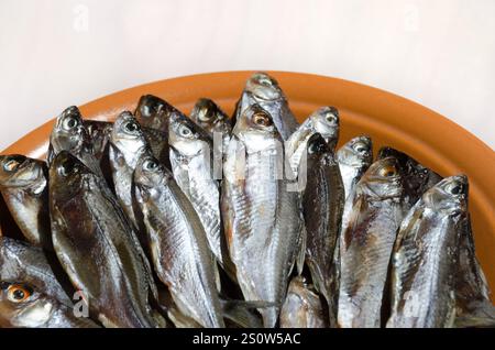 Sombre ou Shemaya. Poisson séché sur une assiette en céramique. Très savoureux, eau de tête grasse pour la bière. Banque D'Images