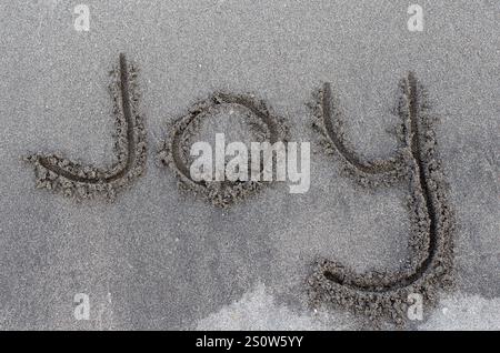 Message de joie écrit dans le sable de plage. Concept de joie, plaisir, heureux, et plaisir de vacances récréatives à la plage et dans la vie. . Célébrez la nature Banque D'Images