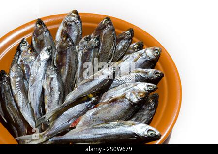 Sombre ou Shemaya. Poisson séché sur une assiette en céramique. Très savoureux, eau de tête grasse pour la bière. Banque D'Images