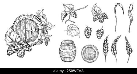 Ensemble d'ingrédients de bière : plante de houblon et épi de blé noir blanc illustration graphique vectorielle isolée. Houblon conique et vigne humulus, fût de bière monochrome Illustration de Vecteur