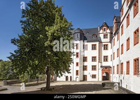 Château Hadamar, résidence de style Renaissance, grand citronnier (Tilia x europaea) dans la cour du château, vieille ville, Hadamar, Limbourg-Weilburg, Westerwa Banque D'Images