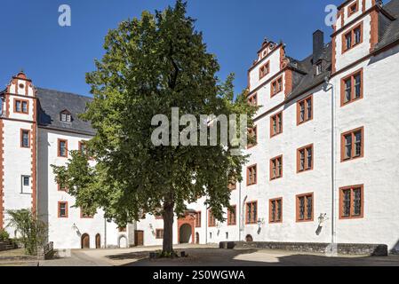 Château Hadamar, résidence de style Renaissance, grand citronnier (Tilia x europaea) dans la cour du château, vieille ville, Hadamar, Limbourg-Weilburg, Westerwa Banque D'Images