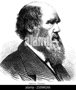 Portrait du naturaliste britannique Charles Darwin (1809, 1882) théorie de l'évolution sur l'origine de l'humanité, origine des espèces, voyage autour de la WOR Banque D'Images