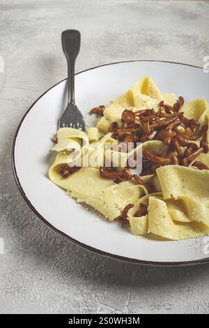 Pâtes papardelles, en sauce crémeuse à l'ail, avec champignons, cuisine italienne traditionnelle, pâtes carbonara, maison, personne Banque D'Images