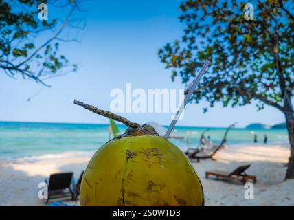 Noix de coco avec paille devant la plage de sable blanc tropical et l'eau turquoise. Moment rafraîchissant Banque D'Images