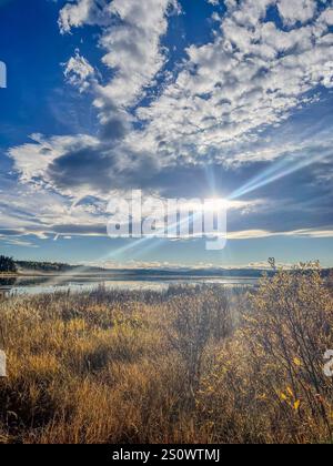 Un paysage d'automne ensoleillé avec des herbes dorées et un lac calme avec des nuages dispersés dans le ciel. Idéal pour les thèmes de beauté saisonnière et naturelle. Banque D'Images
