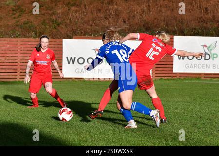 Briton Ferry, pays de Galles. 29 décembre 2024. Lily Billingham de Cardiff City Women se bat pour la possession avec Tija Richardson de Briton Ferry Llansawel Women lors du Genero Adran premier match entre Briton Ferry Llansawel Women et Cardiff City Women à Old Road à Briton Ferry, pays de Galles, Royaume-Uni le 29 décembre 2024. Crédit : Duncan Thomas/Majestic Media/Alamy Live News. Banque D'Images